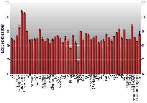 Expression graph