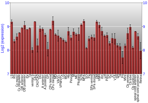 Expression graph