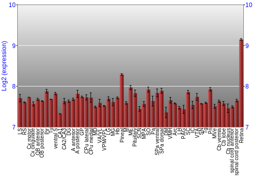 Expression graph