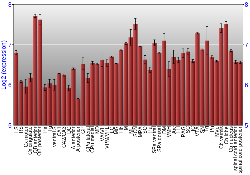 Multi-state expression graph