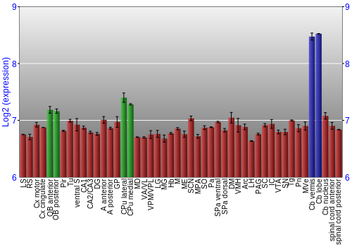 Multi-state expression graph