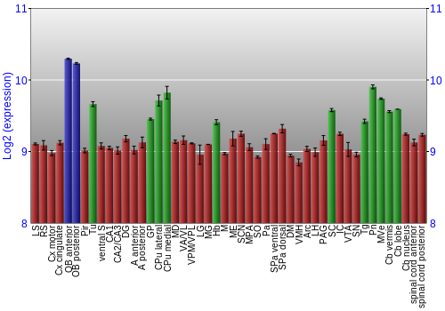 Multi-state expression graph