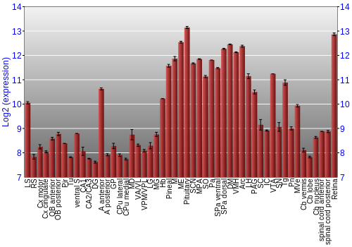 Expression graph