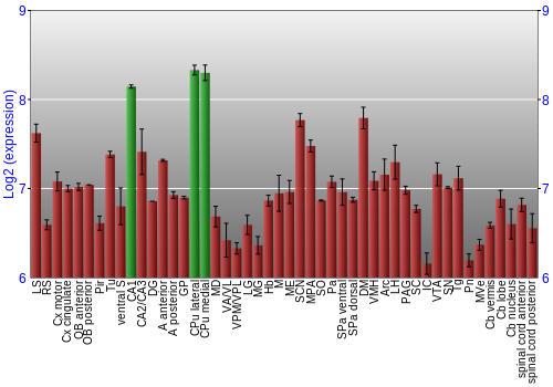 Multi-state expression graph