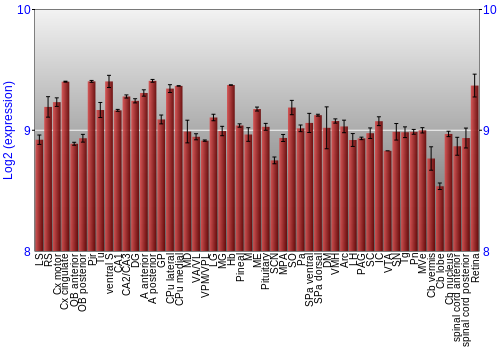 Expression graph
