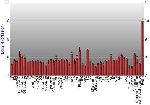 Expression graph