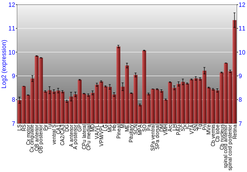 Expression graph