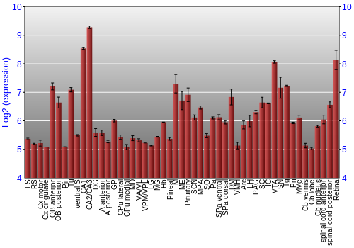 Expression graph