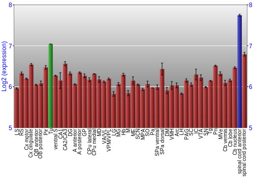 Multi-state expression graph