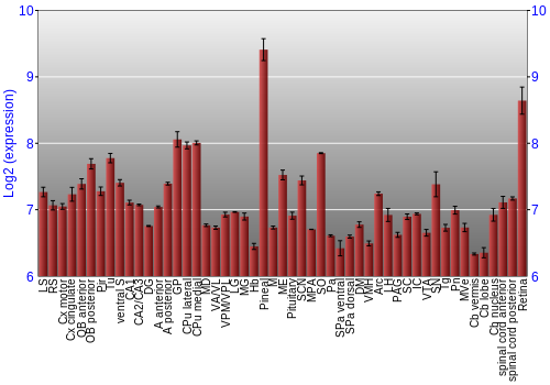 Expression graph