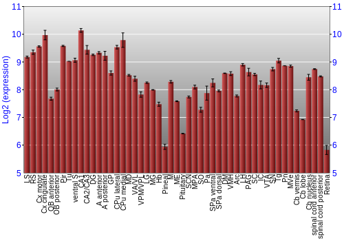Expression graph