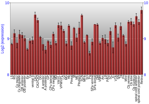 Expression graph