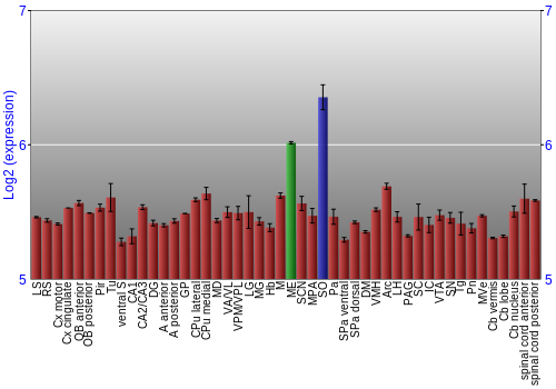 Multi-state expression graph