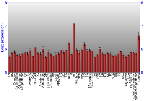 Expression graph