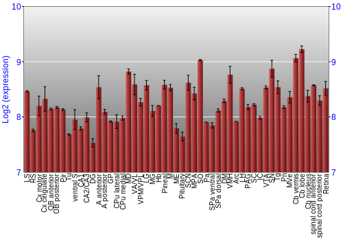 Expression graph