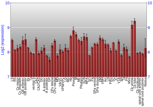 Expression graph