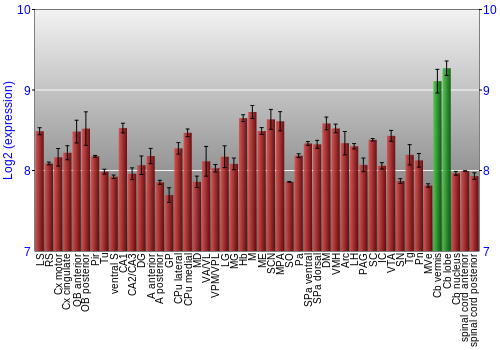 Multi-state expression graph