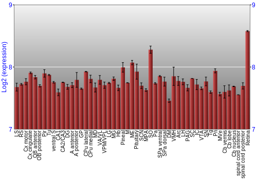 Expression graph