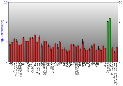 Multi-state expression graph