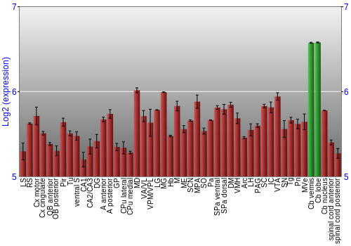 Multi-state expression graph