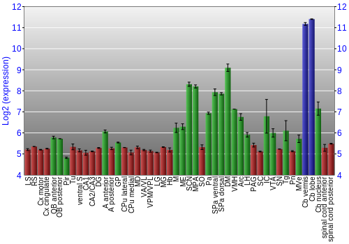 Multi-state expression graph