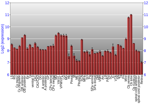 Expression graph