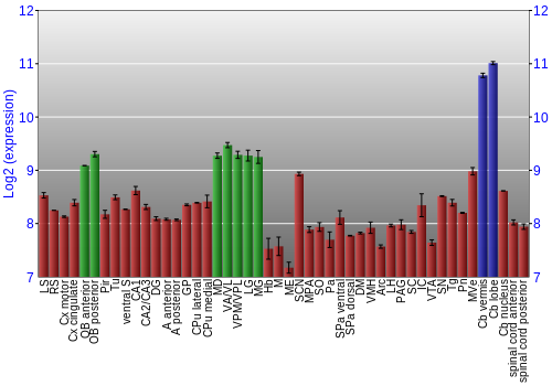 Multi-state expression graph
