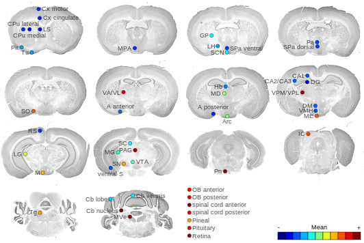 Expression map