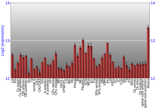 Expression graph