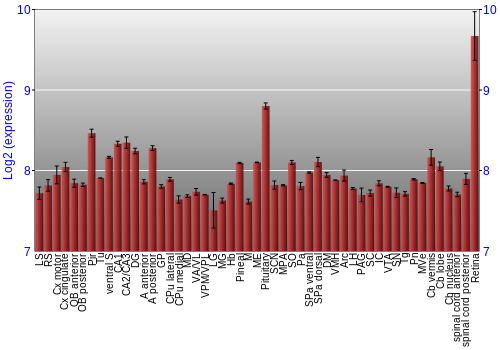 Expression graph