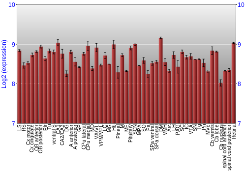 Expression graph