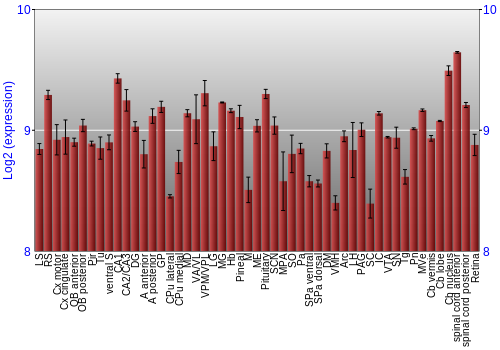 Expression graph