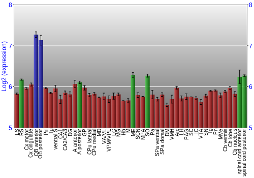 Multi-state expression graph