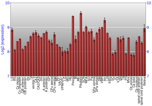 Expression graph