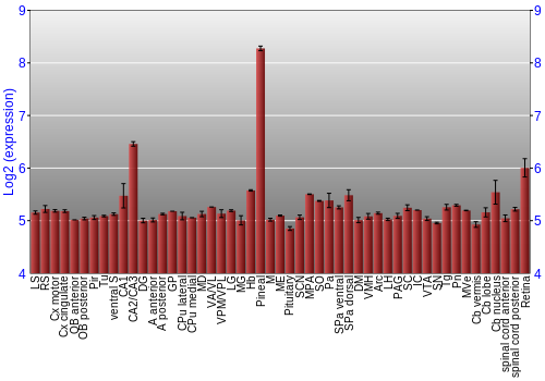 Expression graph