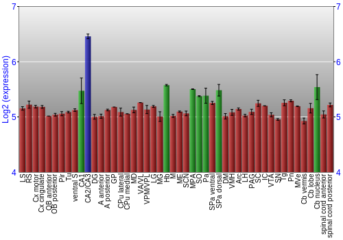 Multi-state expression graph