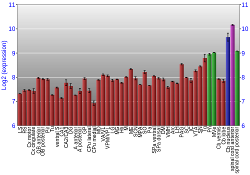 Multi-state expression graph