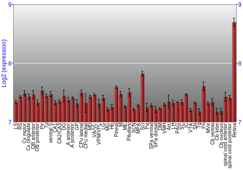 Expression graph