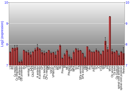Expression graph