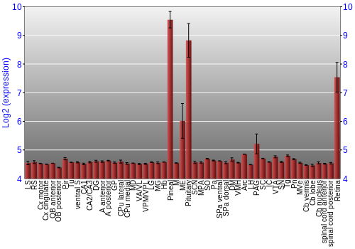 Expression graph