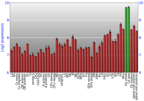 Multi-state expression graph
