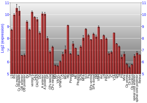 Expression graph