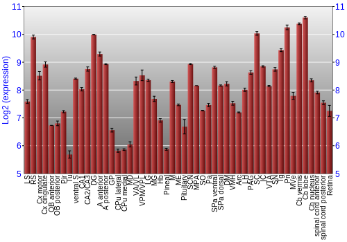 Expression graph