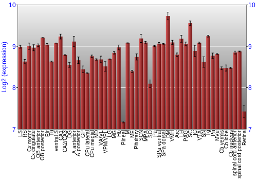 Expression graph