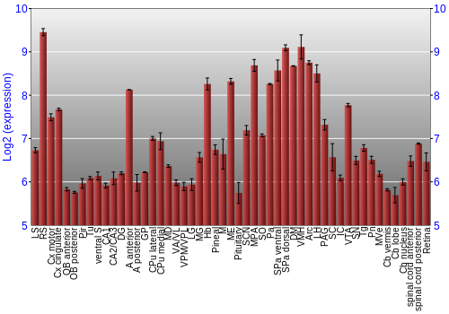 Expression graph