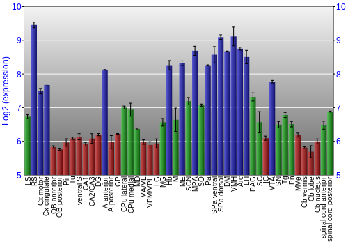 Multi-state expression graph