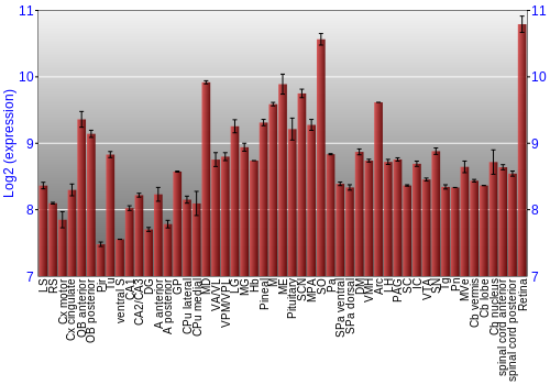 Expression graph