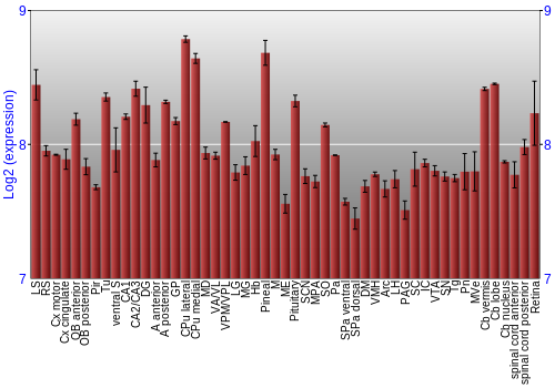 Expression graph