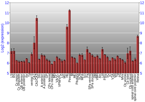 Expression graph