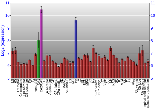 Multi-state expression graph